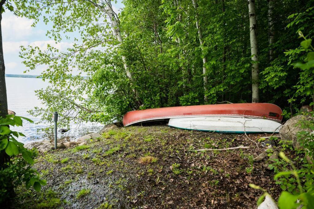 Private Off Grid Cottage Nestled In Nature With Waterfront Barrys Bay Extérieur photo