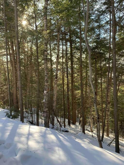 Private Off Grid Cottage Nestled In Nature With Waterfront Barrys Bay Extérieur photo