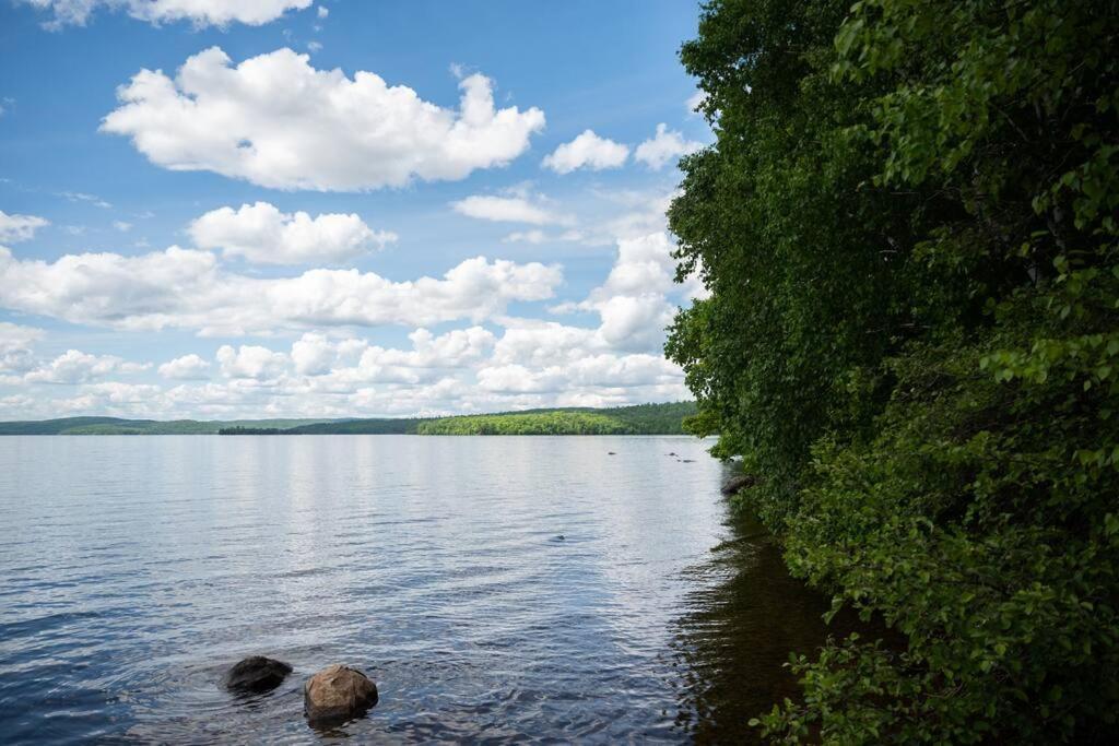 Private Off Grid Cottage Nestled In Nature With Waterfront Barrys Bay Extérieur photo